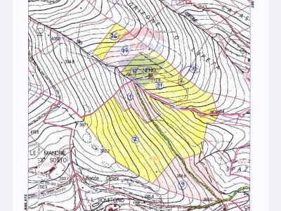 immagine annuncio 8 di 9