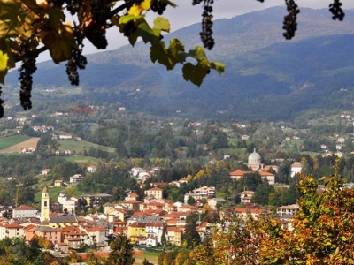 immagine annuncio 4 di 8