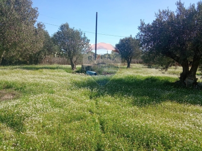 immagine annuncio 5 di 9