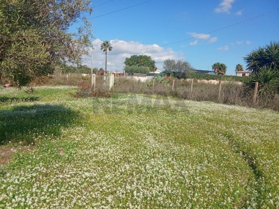 immagine annuncio 1 di 9