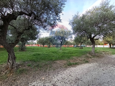 immagine annuncio 5 di 9