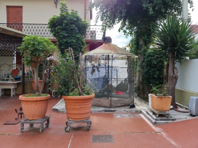 immagine annuncio 2 di 9