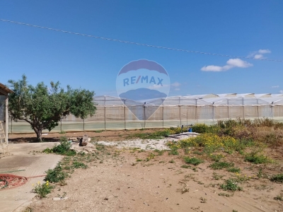 immagine annuncio 6 di 9