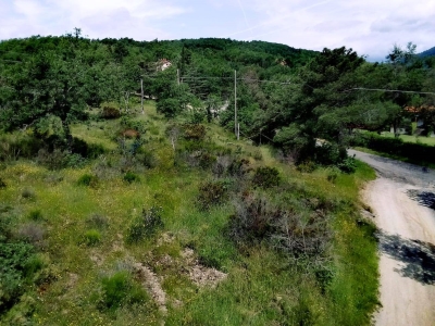 immagine annuncio 8 di 9