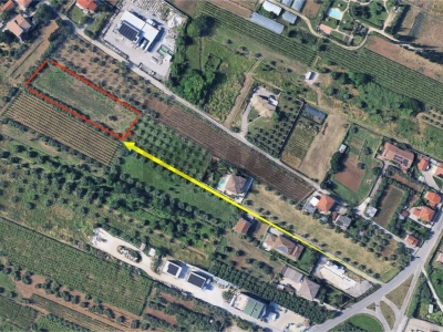 immagine annuncio 1 di 9