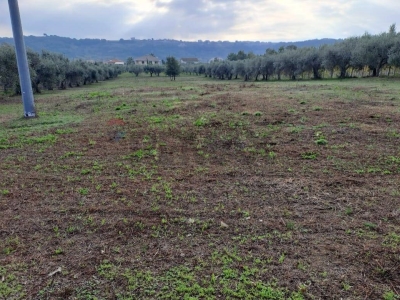 immagine annuncio 7 di 9