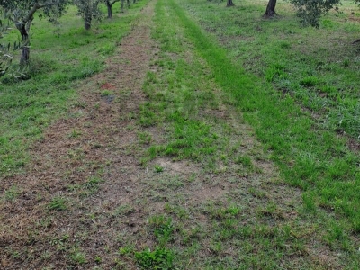 immagine annuncio 8 di 9