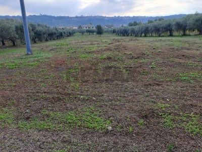 immagine annuncio 5 di 9