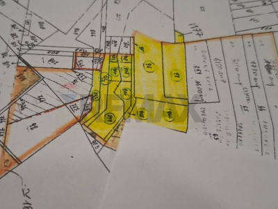 immagine annuncio 4 di 7