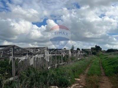 immagine annuncio 4 di 9