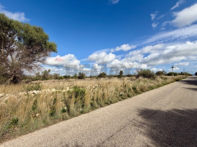 immagine annuncio 4 di 9