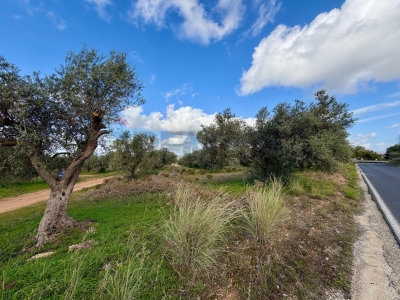 immagine annuncio 3 di 9