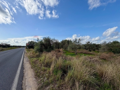 immagine annuncio 2 di 9