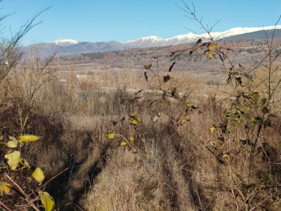 immagine annuncio 4 di 8