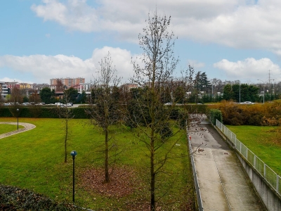 immagine annuncio 7 di 9