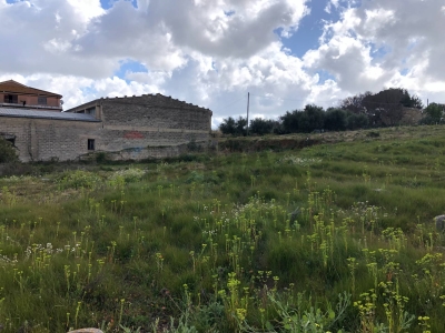 immagine annuncio 1 di 7