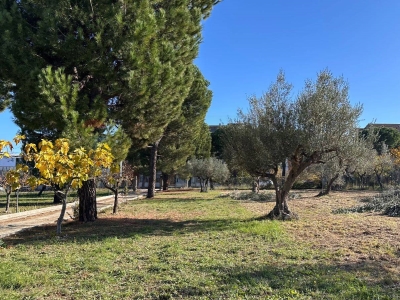 immagine annuncio 4 di 7