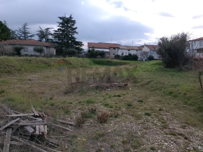 immagine annuncio 3 di 8