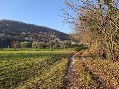 immagine annuncio 7 di 9