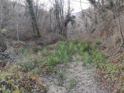 immagine annuncio 5 di 9