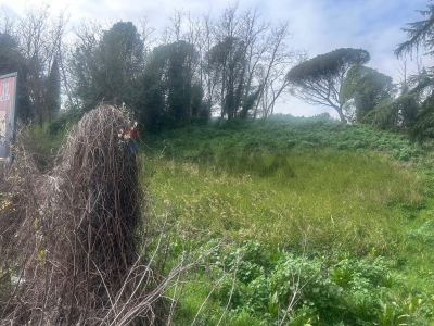 immagine annuncio 8 di 9