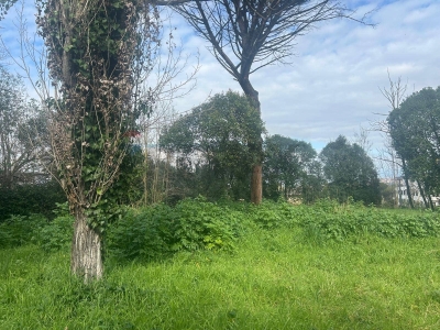 immagine annuncio 3 di 9