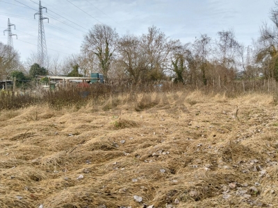 immagine annuncio 5 di 9