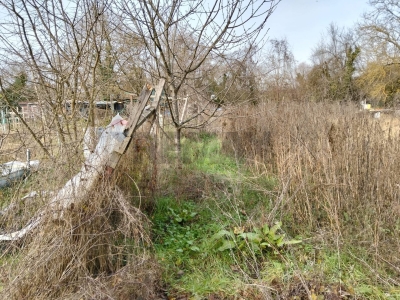 immagine annuncio 6 di 9