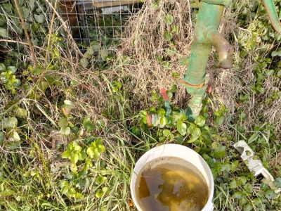 immagine annuncio 7 di 9