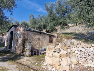 immagine annuncio 2 di 9