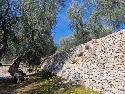 immagine annuncio 5 di 9