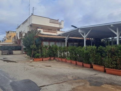 immagine annuncio 8 di 9