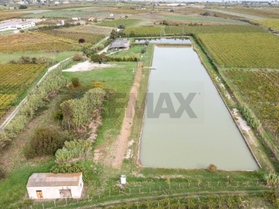 immagine annuncio 4 di 9