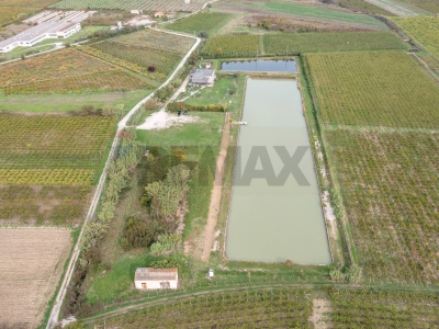 immagine annuncio 5 di 9