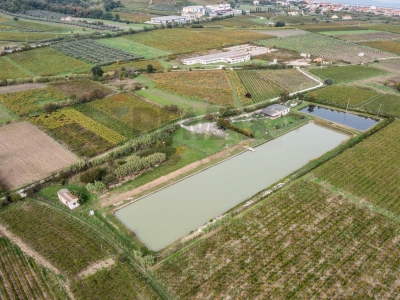 immagine annuncio 6 di 9