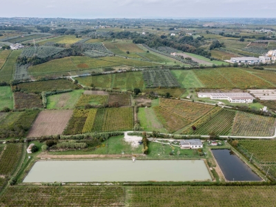 immagine annuncio 7 di 9