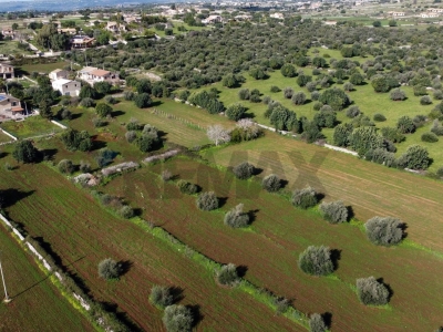 immagine annuncio 5 di 9