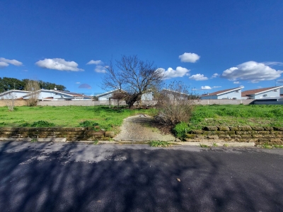 immagine annuncio 6 di 9