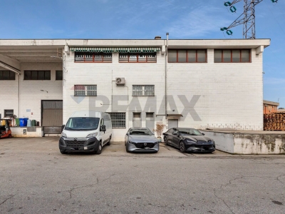 immagine annuncio 4 di 9