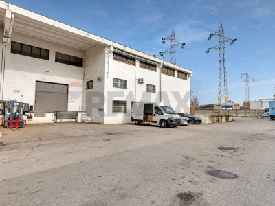 immagine annuncio 2 di 9