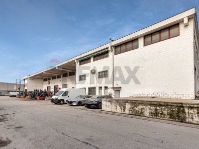 immagine annuncio 3 di 9