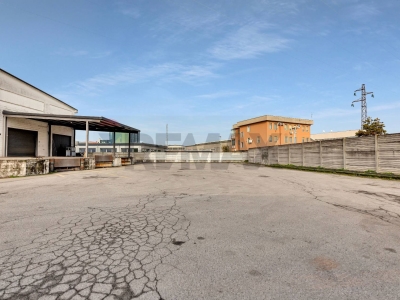 immagine annuncio 6 di 9