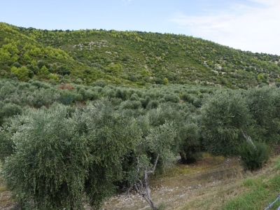 immagine annuncio 2 di 9