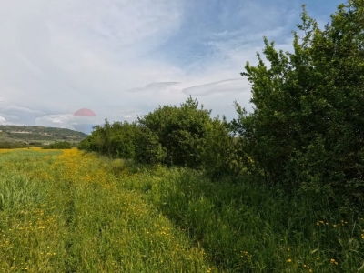 immagine annuncio 6 di 9