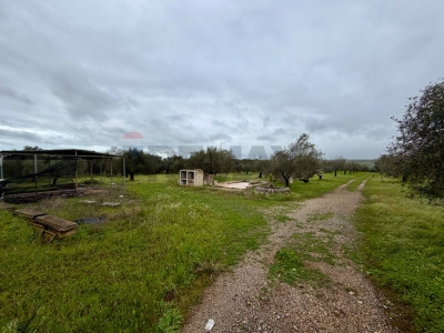 immagine annuncio 3 di 9