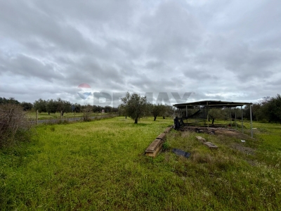 immagine annuncio 4 di 9