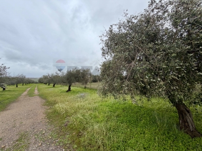 immagine annuncio 5 di 9