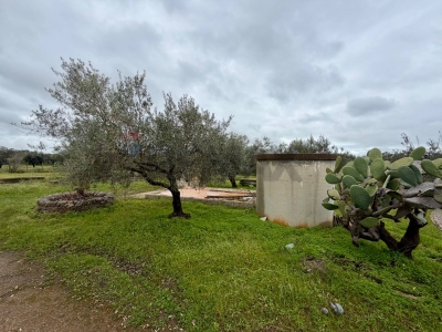 immagine annuncio 8 di 9