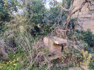 immagine annuncio 1 di 6