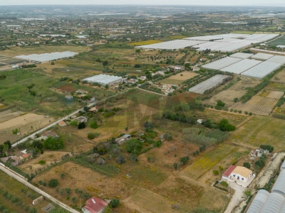 immagine annuncio 4 di 7